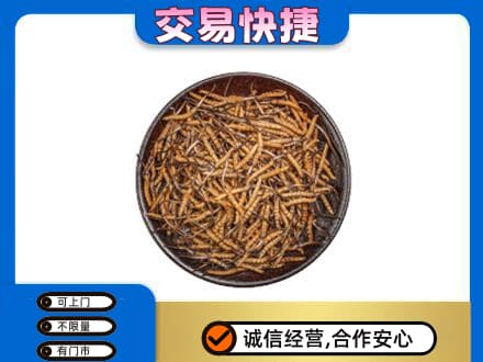 大同高价回收散虫草